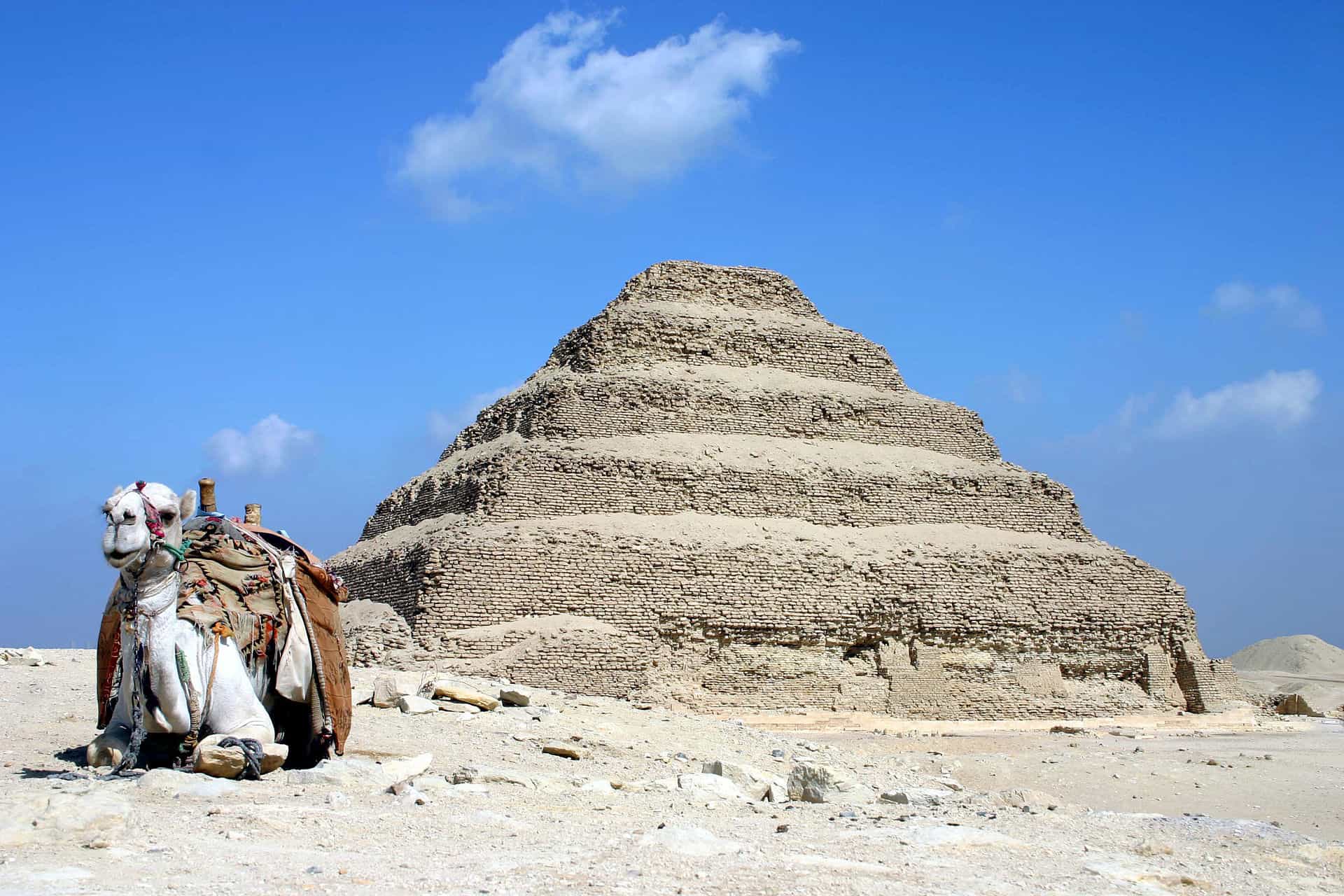 Pyramids of Giza and Sakkara + Camel Ride